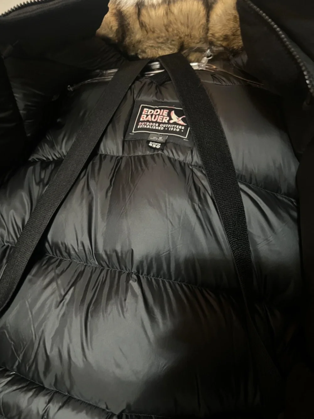 Men's Eddie Bauer 